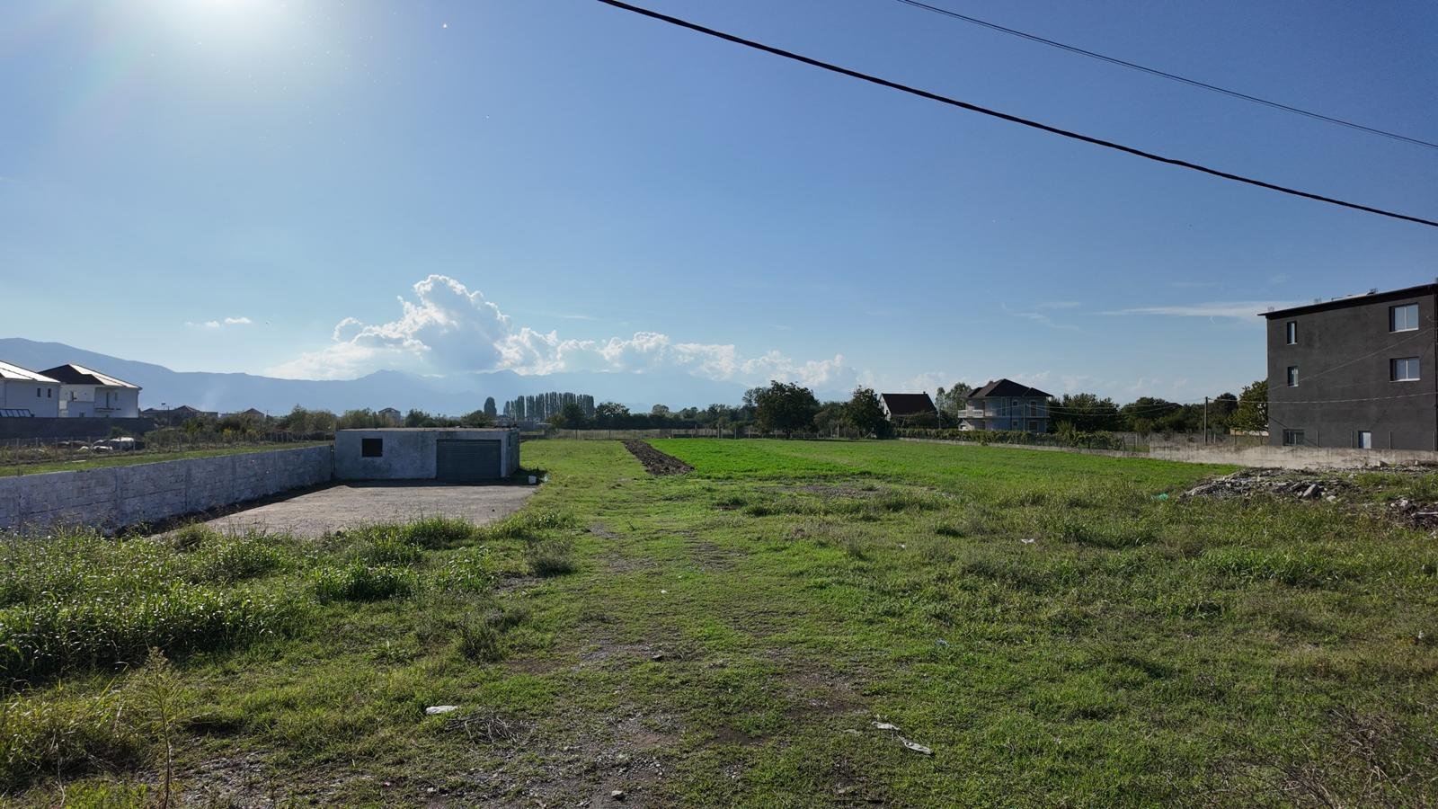 WhatsApp Image 2025-08-12 at 14.46.23