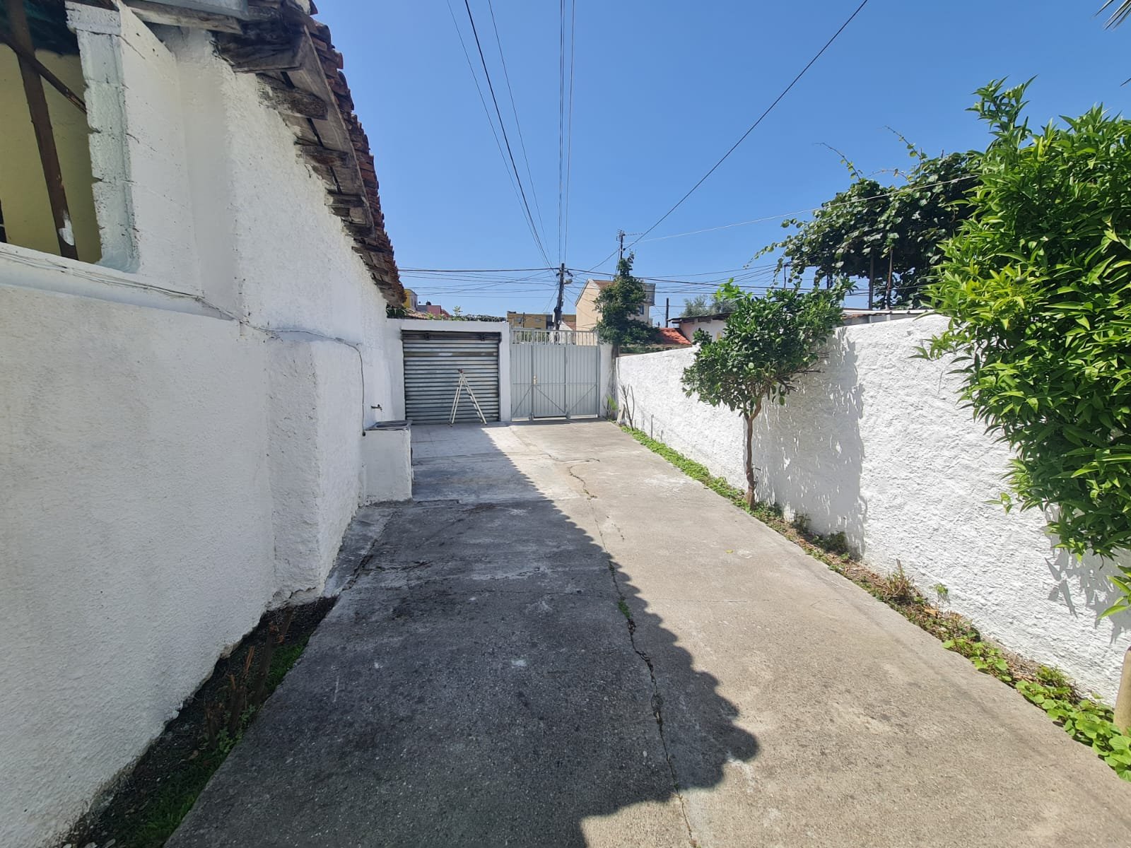 WhatsApp Image 2026-01-19 at 11.42.40 (4)