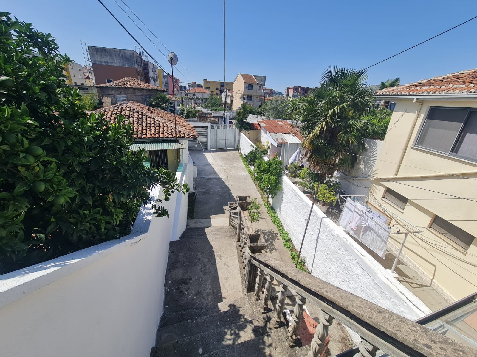 WhatsApp Image 2026-01-19 at 11.42.41