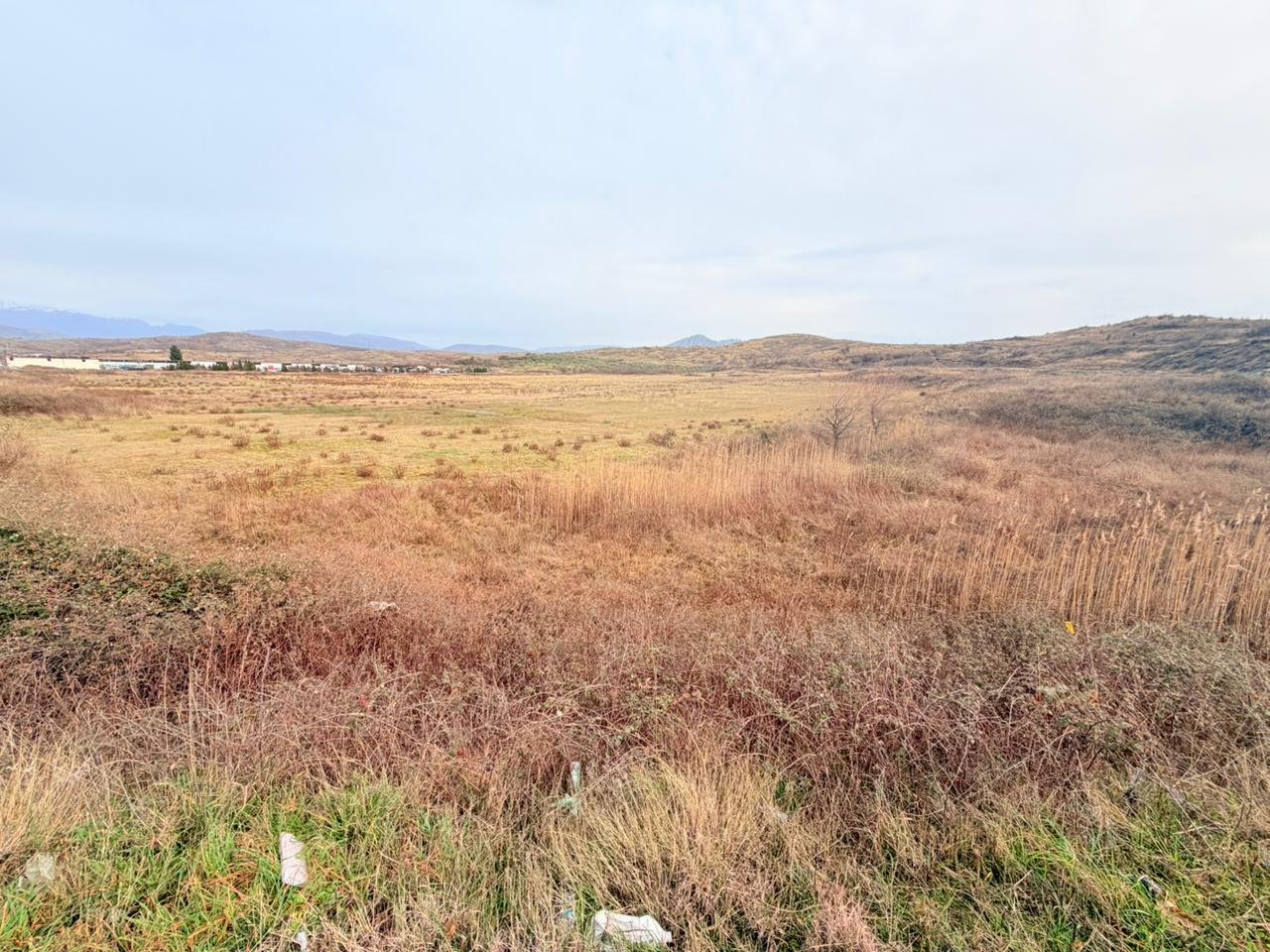 WhatsApp Image 2026-02-25 at 12.23.37